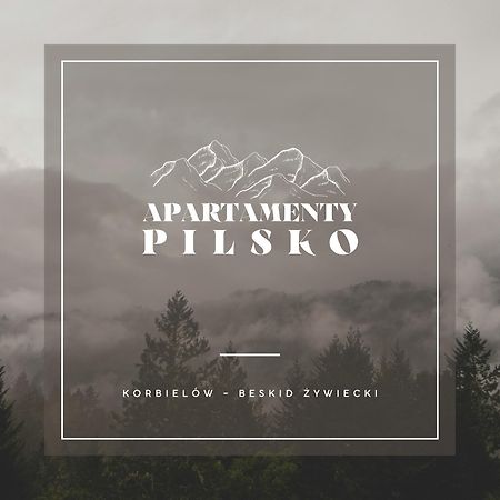 Apartamenty Pilsko Korbielów Zewnętrze zdjęcie